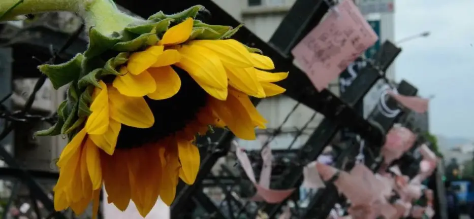 Beyond The Sunflower Movement: Present Issues for Future Taiwanese Activism