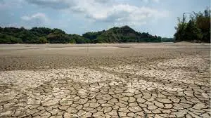 Lessons From the Drought